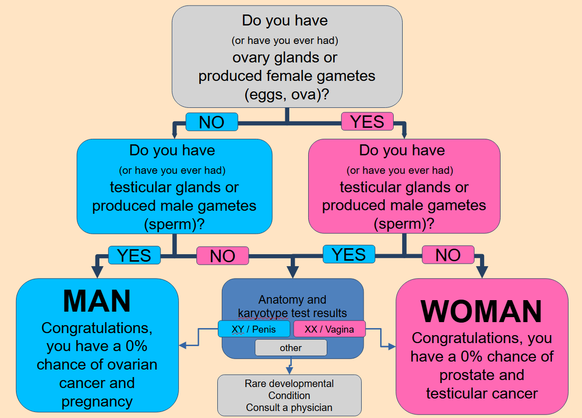 Sex Determination Decision Tree